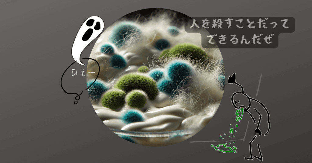 カビブログのアイキャッチ